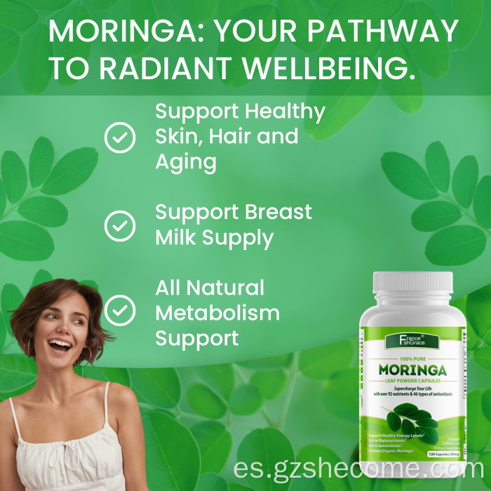 Moringa Oleifera Cápsulas de hoja de Moringa sin gluten